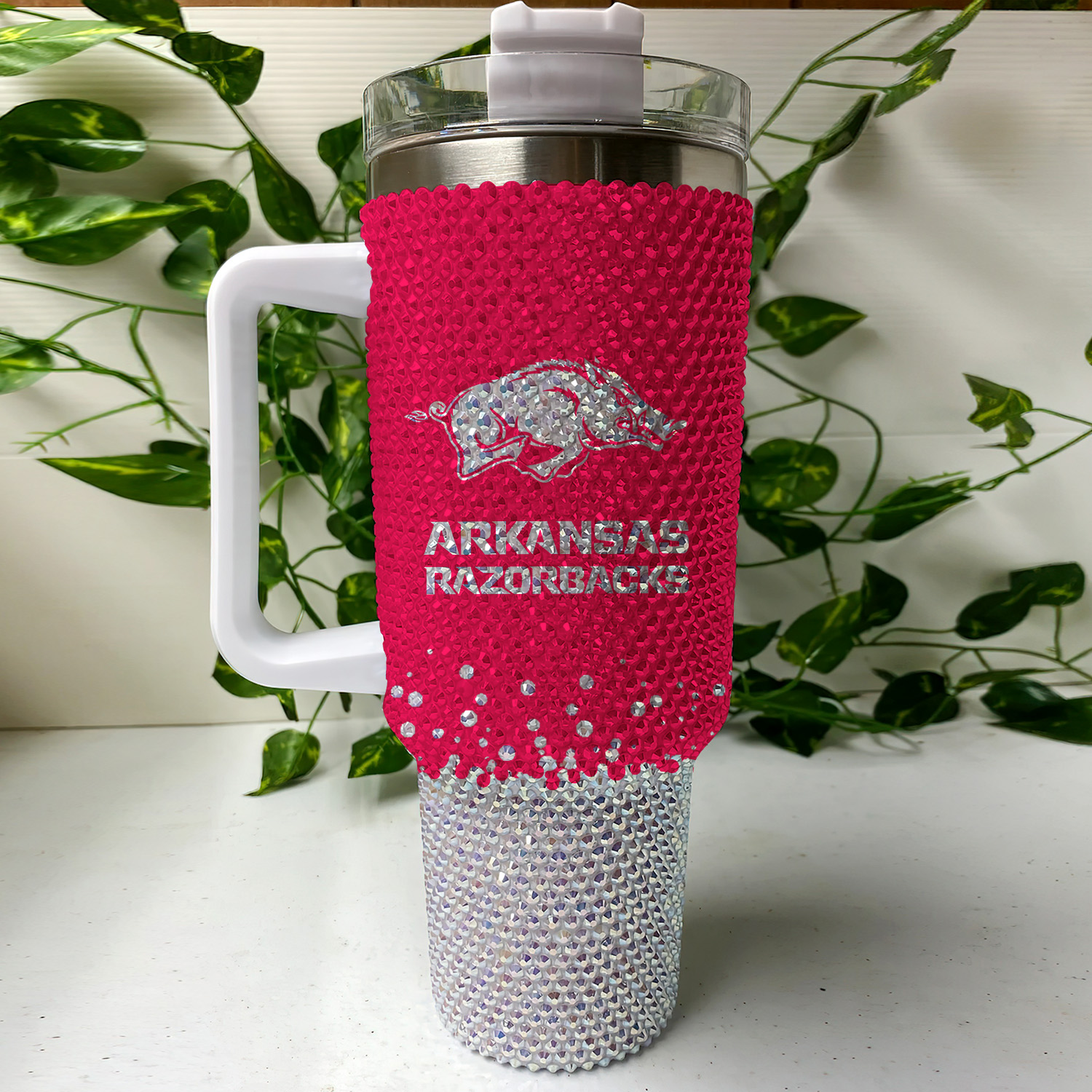 Arkansas Razorbacks NCAA Custom Stanley Cup 40 oz 30 oz Tumbler With Handle