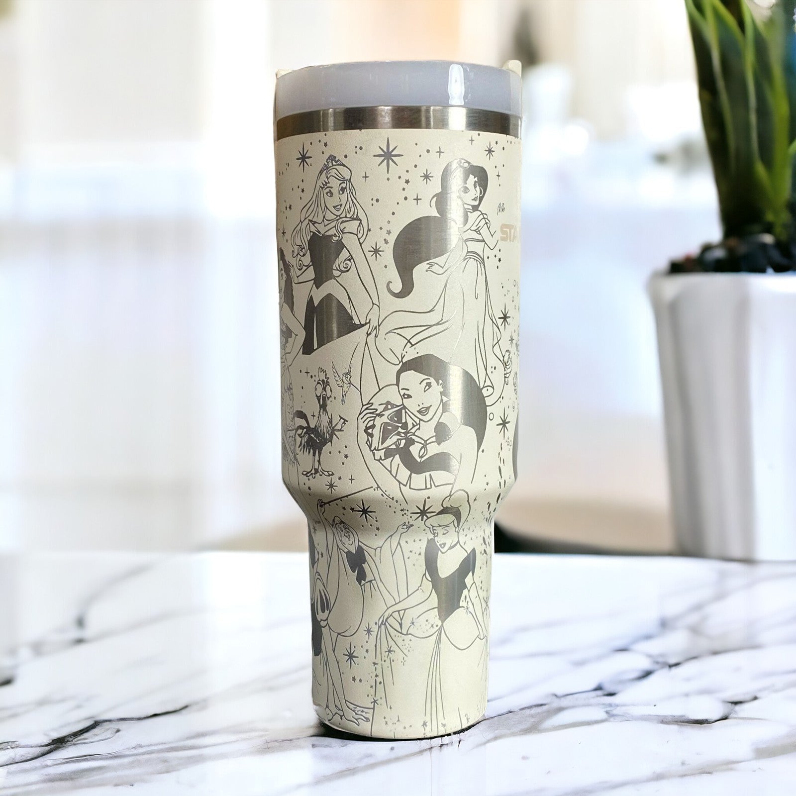 Princess Disney Cartoon Custom Stanley Cup 40 oz 30 oz Tumbler With Handle