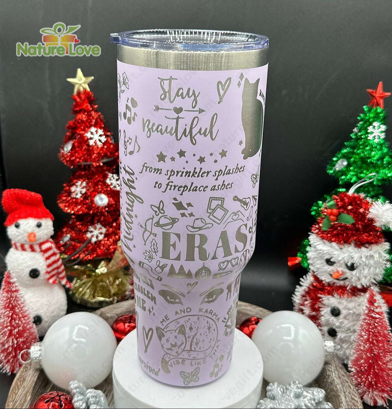 Taylor Swift The Eras Tour Music Custom Stanley Cup 40 oz 30 oz Tumbler With Handle