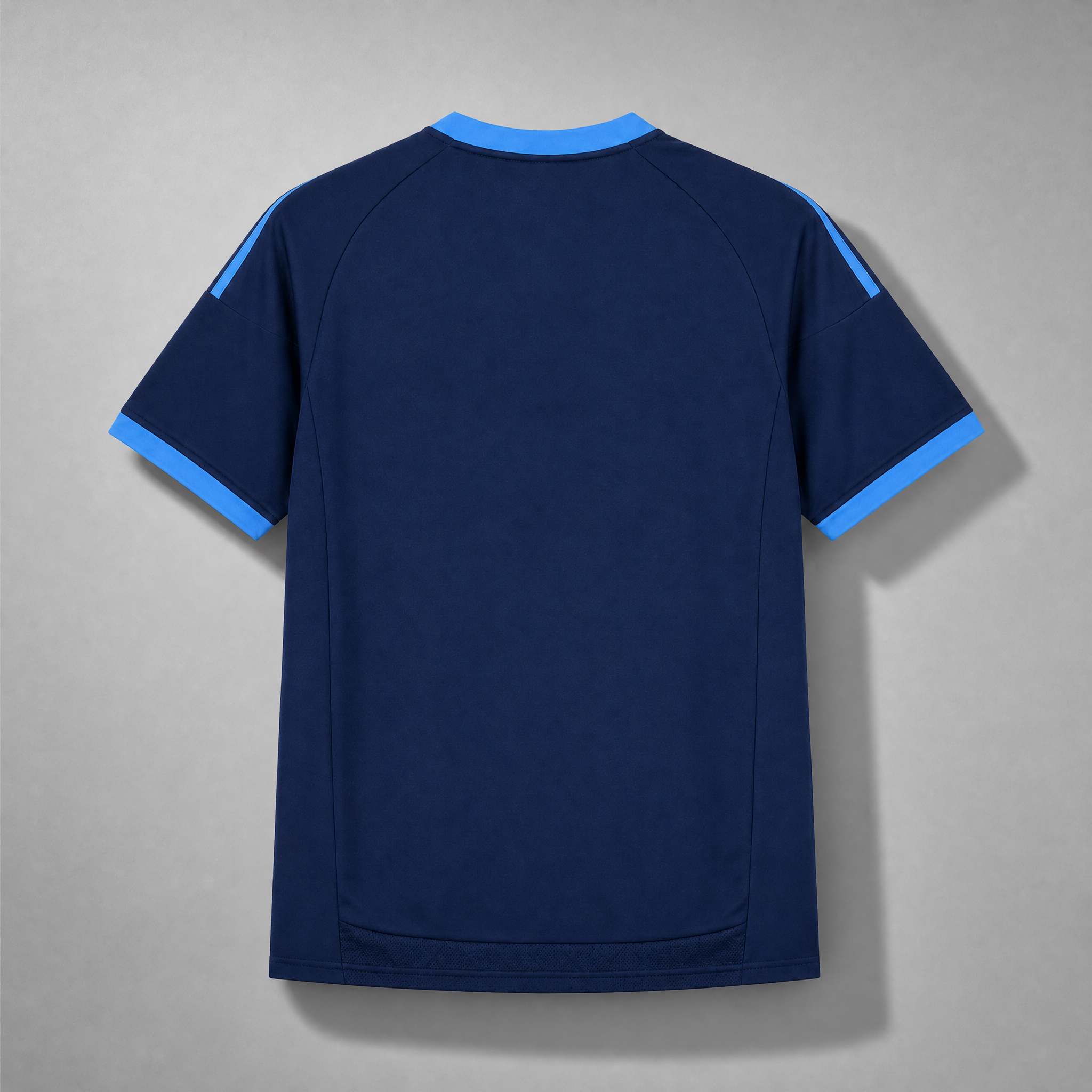 Schalke04-back55.png